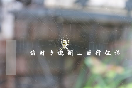 信用卡逾期上百行征信嗎