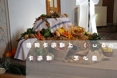 信用卡逾期上網(wǎng)逃怎么查(信用卡逾期記錄怎么查)