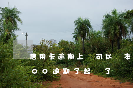 信用卡逾期上訴可以還本金的嗎(信用卡7000逾期了起訴了)