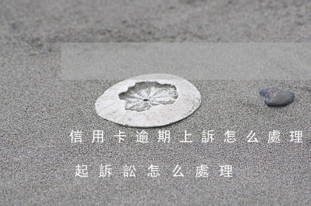 信用卡逾期上訴怎么處理(信用卡逾期銀行提起訴訟怎么處理)