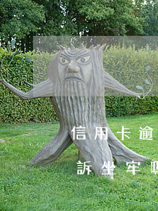 信用卡逾期上訴會不會坐牢(欠信用卡會被起訴坐牢嗎)