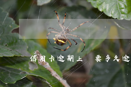 信用卡逾期上訴要多久(逾期多久可以上訴)