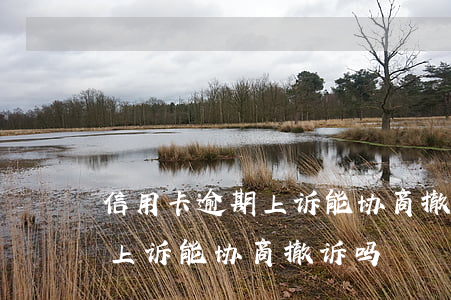 信用卡逾期上诉能协商撤诉吗-信用卡逾期上诉能协商撤诉吗