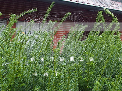 信用卡逾期上銷卡(沒有逾期為什么信用卡被核銷了)