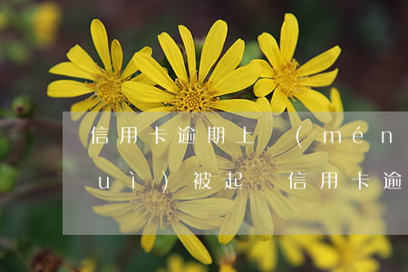 信用卡逾期上門(mén)以后多久會(huì)被起訴(信用卡逾期上門(mén)以后多久會(huì)被起訴)