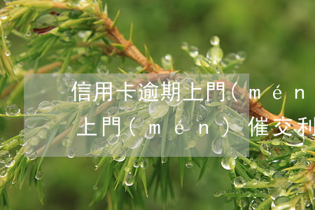 信用卡逾期上門(mén)催交(信用卡逾期上門(mén)催交利息)