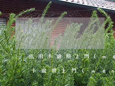信用卡逾期上門(mén)催收員被抓（信用卡逾期上門(mén)催收員被）