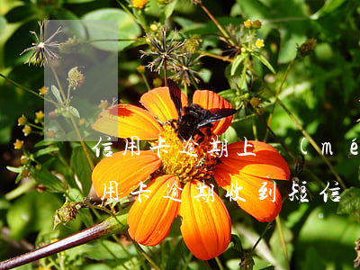信用卡逾期上門(mén)催收是真的嗎(信用卡逾期收到短信說(shuō)要上門(mén)催收是真的嗎)