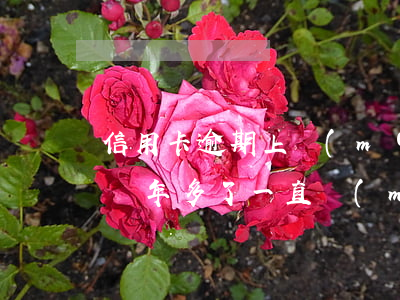 信用卡逾期上門(mén)后未還(欠信用卡兩年多了一直沒(méi)有發(fā)現(xiàn)上門(mén))