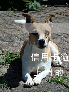 信用卡逾期上門一般多久(有沒有信用卡逾期上門的)