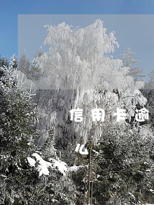 信用卡逾期上門不走(信用卡逾期上門不走怎么辦)