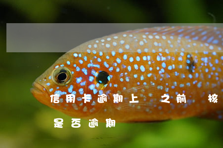 信用卡逾期上門之前會核對地址嗎(查信用卡是否逾期)