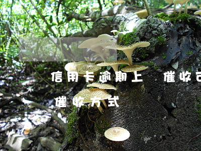 信用卡逾期上門催收可以拒絕嗎(信用卡逾期催收方式)