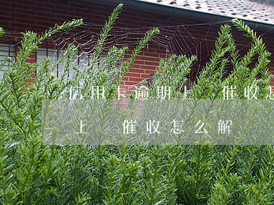 信用卡逾期上門催收怎么解決-信用卡逾期上門催收怎么解決問題