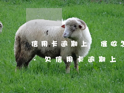 信用卡逾期上門催收怎么辦理手續(xù)-欠信用卡逾期上門催收