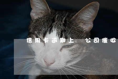 信用卡逾期上門公司催收