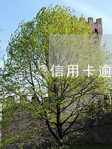 信用卡逾期上門出警