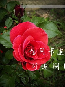 信用卡逾期上門取證是真的嗎平安-平安銀行逾期兩個月 說要上門是真的嗎