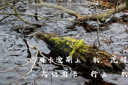信用卡逾期上門取證流程我可以拒絕進屋嗎-欠信用卡銀行上門取證可以拒絕嗎