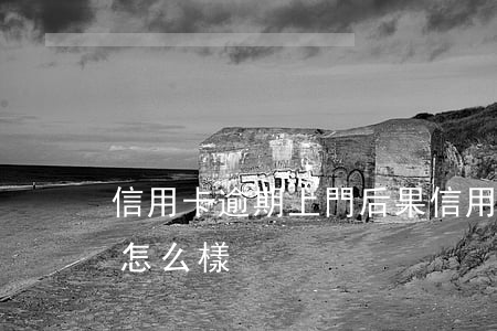 信用卡逾期上門后果(信用卡逾期上門后果會怎么樣)