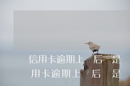 信用卡逾期上門后還是沒(méi)錢還 信用卡逾期上門后還是沒(méi)錢還了怎么辦