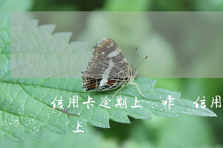 信用卡逾期上門咋辦(信用卡10000逾期會上門嗎)