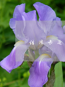 信用卡逾期上門單位(收到電話說信用卡逾期)