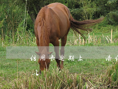 信用卡逾期上門噴漆(信用卡逾期上門噴漆可以嗎)