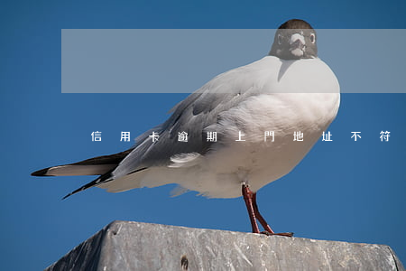 信用卡逾期上門地址不符