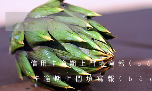 信用卡逾期上門填寫報(bào)備單(信用卡逾期上門填寫報(bào)備單)