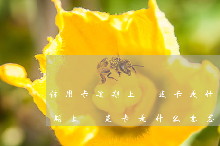 信用卡逾期上門建卡是什么意思-信用卡逾期上門建卡是什么意思啊