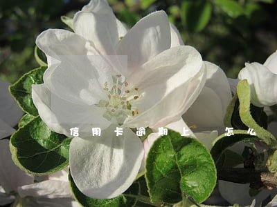 信用卡逾期上門怎么談(銀行卡逾期說要上門)
