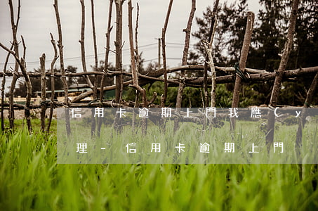 信用卡逾期上門我應(yīng)該怎么處理-信用卡 逾期 上門