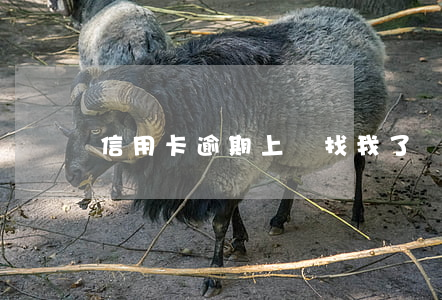 信用卡逾期上門找我了