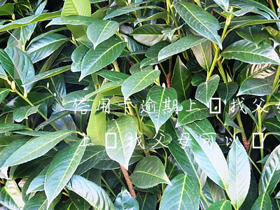 信用卡逾期上門找父母可以嗎-信用卡逾期上門找父母可以嗎