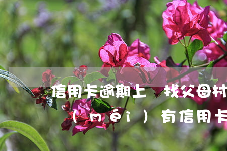 信用卡逾期上門找父母村委會(huì)(有沒(méi)有信用卡逾期上門的)