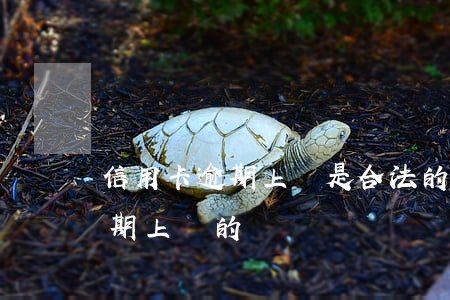信用卡逾期上門是合法的嗎(有沒有信用卡逾期上門的)
