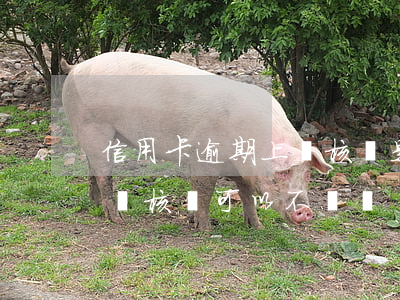 信用卡逾期上門核實是真的嗎(信用卡逾期上門核實可以不見嗎)