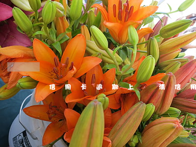 信用卡逾期上門清(信用卡逾期上門清算)