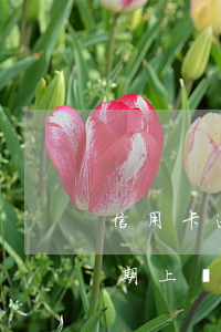 信用卡逾期上門清收通知是真的嗎(信用卡逾期上門清收通知是真的嗎嗎)