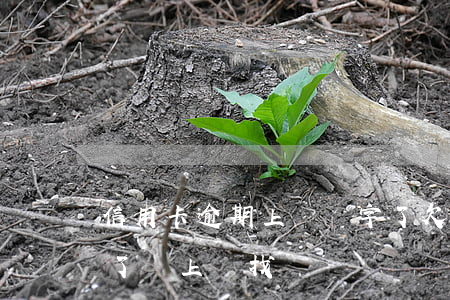 信用卡逾期上門簽字了(欠信用卡逾期三個月了會上門找嗎)