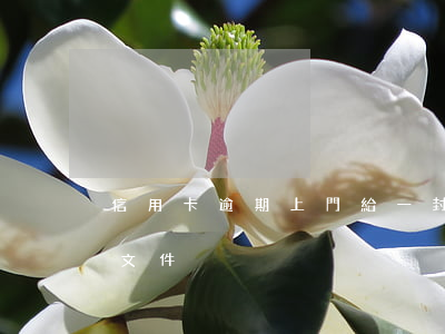 信用卡逾期上門給一封信(信用卡逾期上門簽文件)