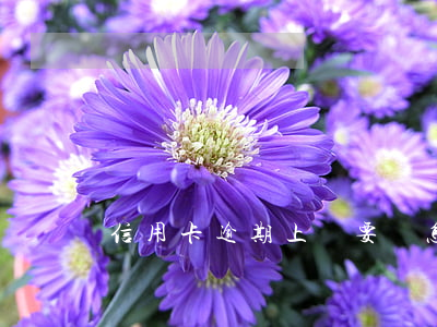 信用卡逾期上門要賬怎么辦(逾期了會上門要賬嗎)
