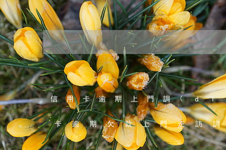 信用卡逾期上門調(diào)查什么(信用卡逾期欠款上門走訪調(diào)查會(huì)做些什么)