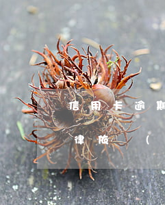 信用卡逾期上門調(diào)查取證的法律依據(jù)-信用卡逾期上門調(diào)查取證的法律依據(jù)是什么