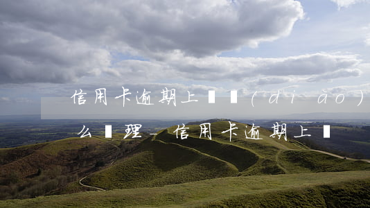 信用卡逾期上門調(diào)查取證該怎么處理-信用卡 逾期 上門