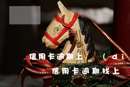 信用卡逾期上門調(diào)查取證過的嗎(說信用卡逾期找上門了)