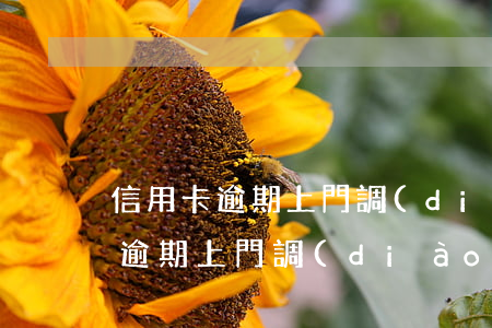 信用卡逾期上門調(diào)查后(信用卡逾期上門調(diào)查后多久還款)