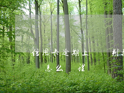 信用卡逾期上門談判技巧(信用卡逾期上門約談怎么處理)