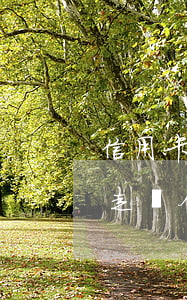 信用卡逾期上門走訪合法嗎(信用卡逾期上門走訪合法嗎嗎)